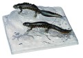model - veliki vodenjaci