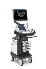 S22-OBGYN